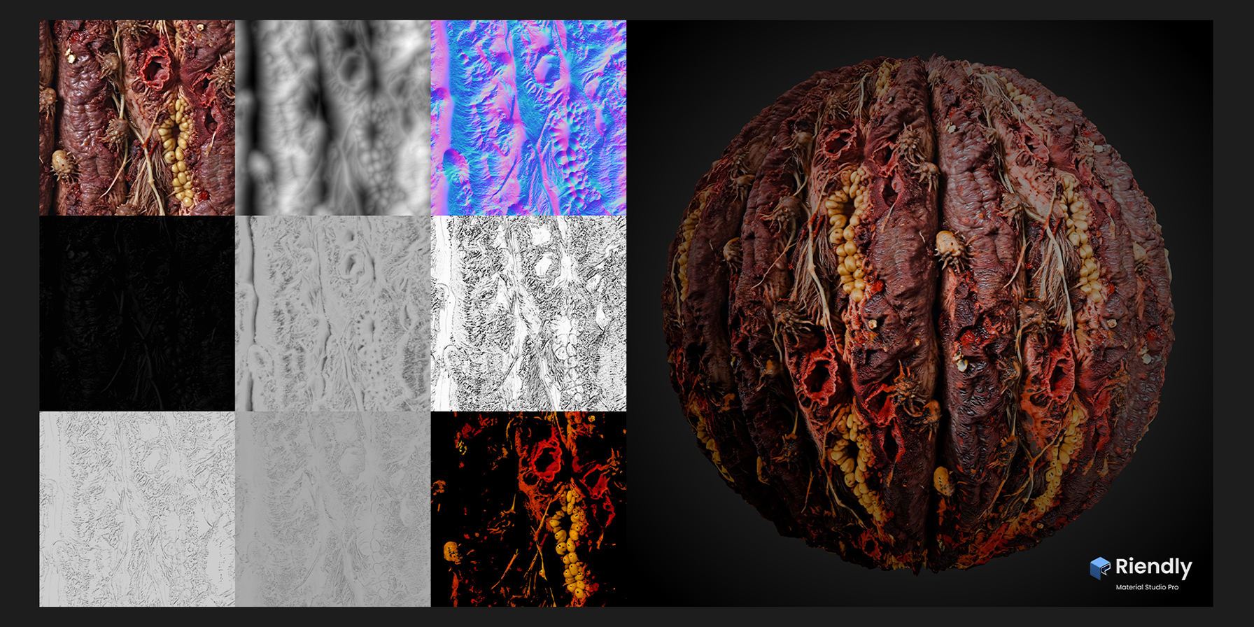 Material Studio Pro Banner